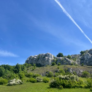 Výprava Vážek na Pálavu