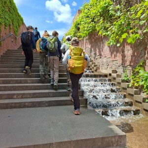 Žraločí historicko-vědecká výprava do Brna