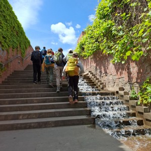 Žraločí historicko-vědecká výprava do Brna