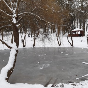Žraločí únorová superakce