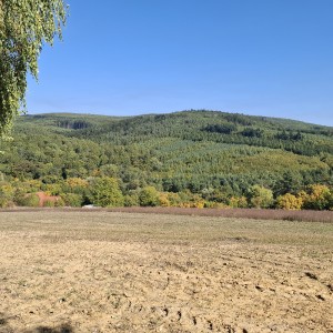 Aluminiová soví kulička