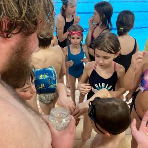 Březnová bázénová oddílovka