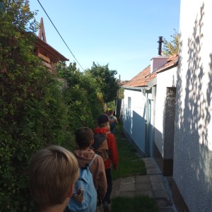 Dobrodružství Havranů