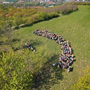 Havrani na ZVaSu