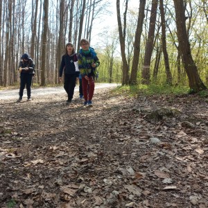 Havrani v jeskyních