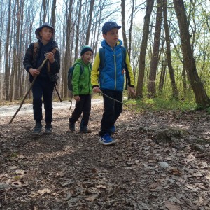 Havrani v jeskyních