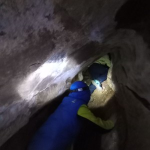 Havrani v jeskyních