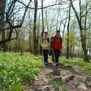 Havrani v jeskyních