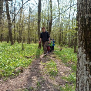 Havrani v jeskyních