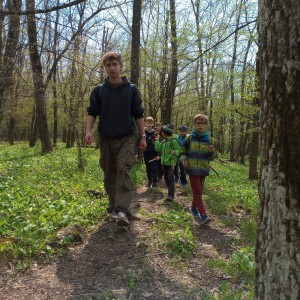 Havrani v jeskyních