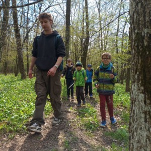 Havrani v jeskyních