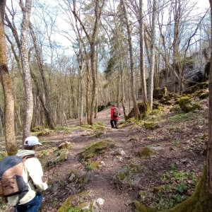 Havrani v jeskyních