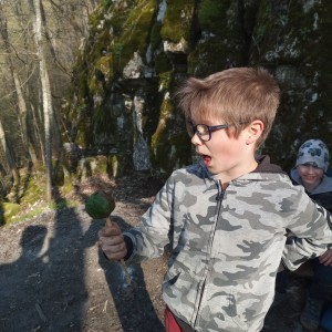 Havrani v jeskyních