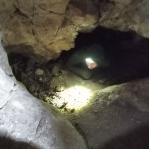 Havrani v jeskyních