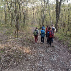 Havrani v jeskyních