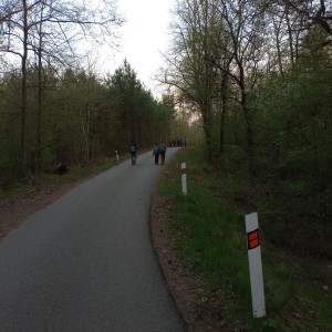 Havrani v jeskyních