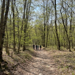 Havrani v jeskyních