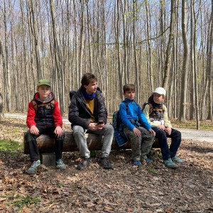 Havrani v jeskyních