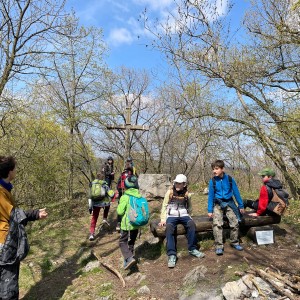 Havrani v jeskyních