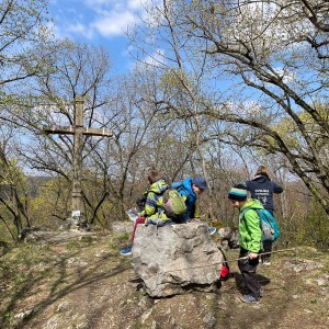 Havrani v jeskyních