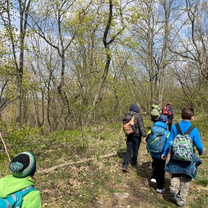 Havrani v jeskyních