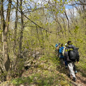 Havrani v jeskyních