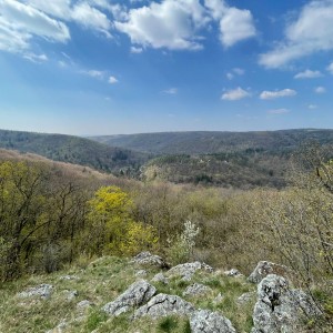 Havrani v jeskyních