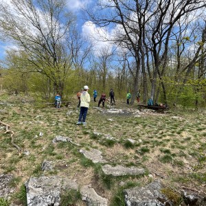 Havrani v jeskyních