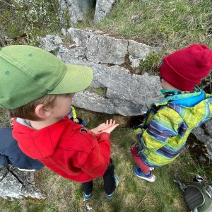 Havrani v jeskyních