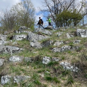 Havrani v jeskyních