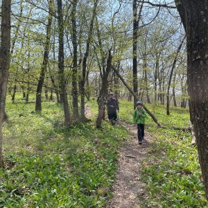 Havrani v jeskyních