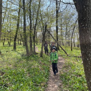 Havrani v jeskyních