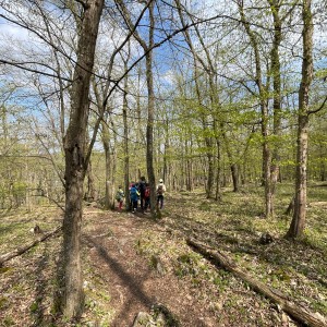 Havrani v jeskyních