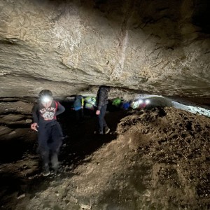 Havrani v jeskyních