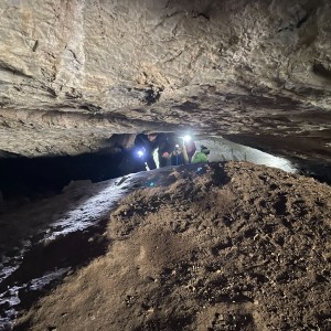 Havrani v jeskyních