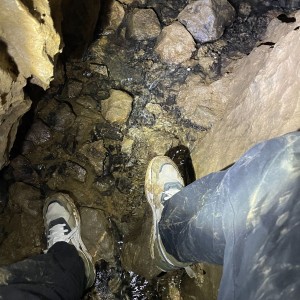 Havrani v jeskyních