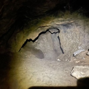 Havrani v jeskyních