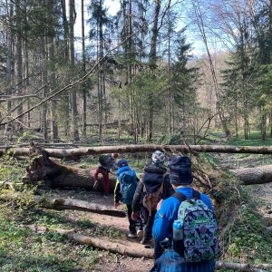 Havrani v jeskyních