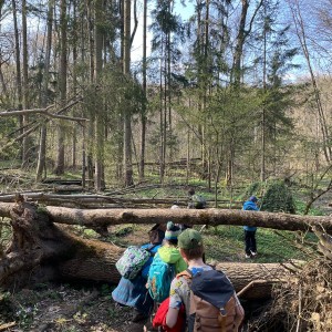 Havrani v jeskyních