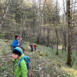 Havrani v jeskyních