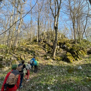 Havrani v jeskyních