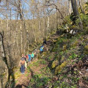 Havrani v jeskyních