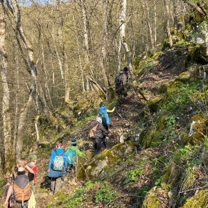 Havrani v jeskyních