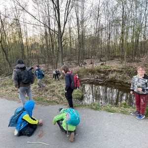 Havrani v jeskyních