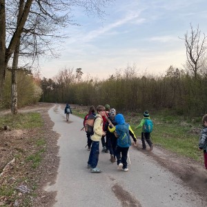 Havrani v jeskyních