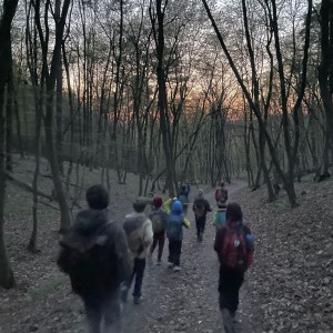 Havrani v jeskyních