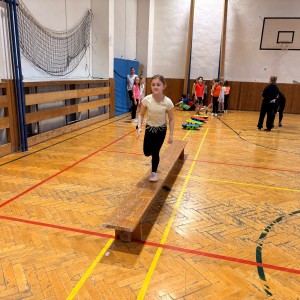 Oddílovka v tělocvičně