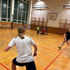 Oddílovka v tělocvičně