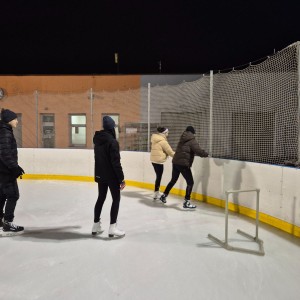 Hukvaldská oddílovka na ledě