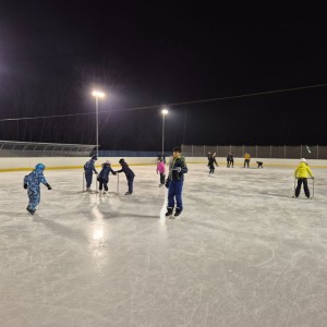 Hukvaldská oddílovka na ledě